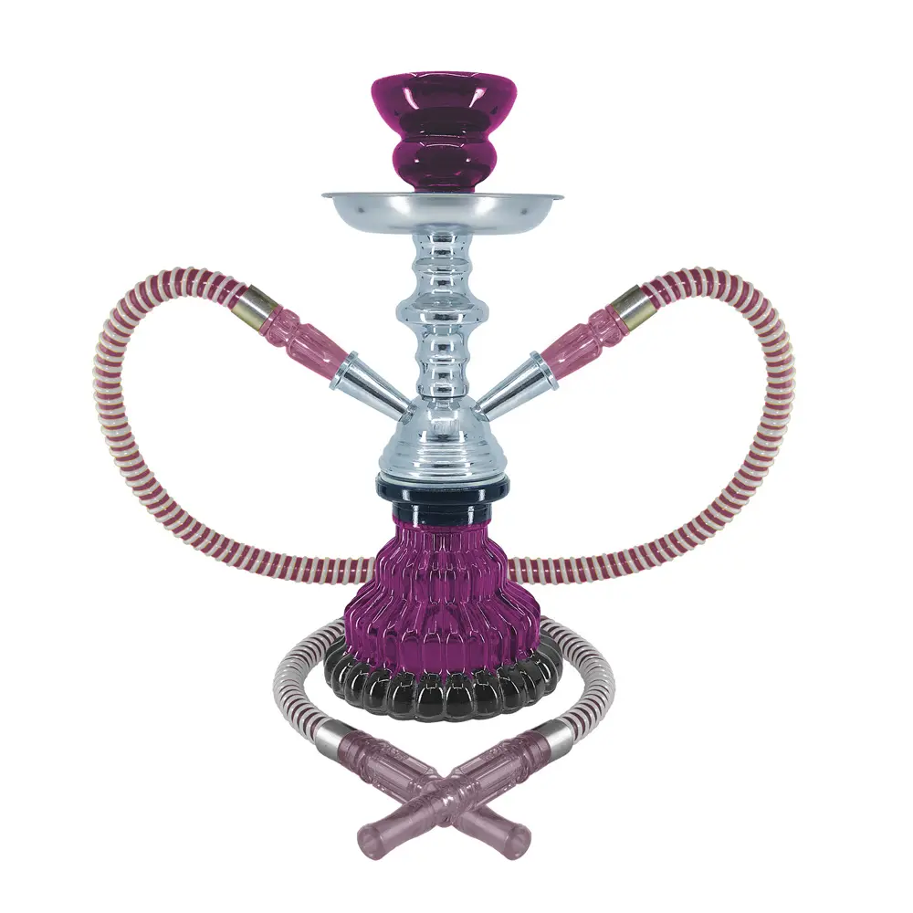 10" Sparta, 2 Hose, Purple, Premium Box