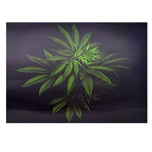 [AM034380] Unbranded Posters & Stickers 3D Image( 5.0" x 7.0") Leaves Green
