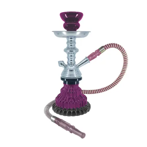 [AM016222] 10" Sparta, 1 Hose, Purple, Premium Box