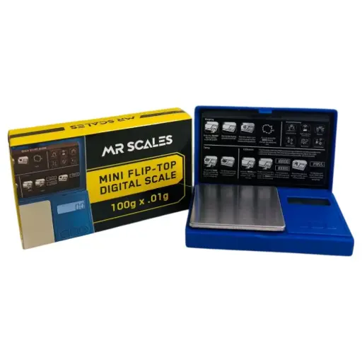[PC37672] MR SCALES 1003 100GM / 0.01 BLUE